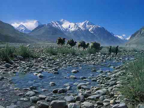 
Camel Train Leaving Suget Jangal With Snow Plumes Blowing Off K2 North Face - Climb Every Mountain book
